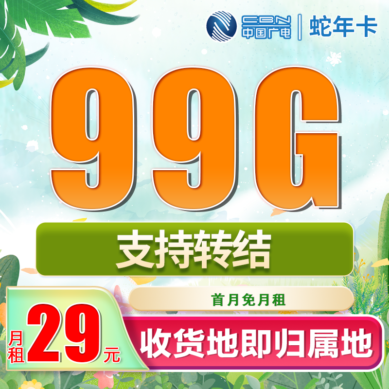 卡世界号卡发布：广电蛇年卡29元99G流量+可结转